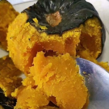 广东湛江贝贝南瓜1