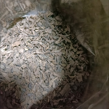 炒茶