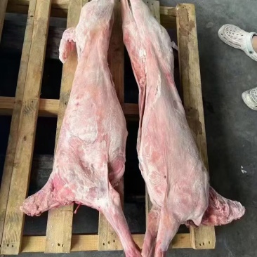 直条全羊烤全羊专用