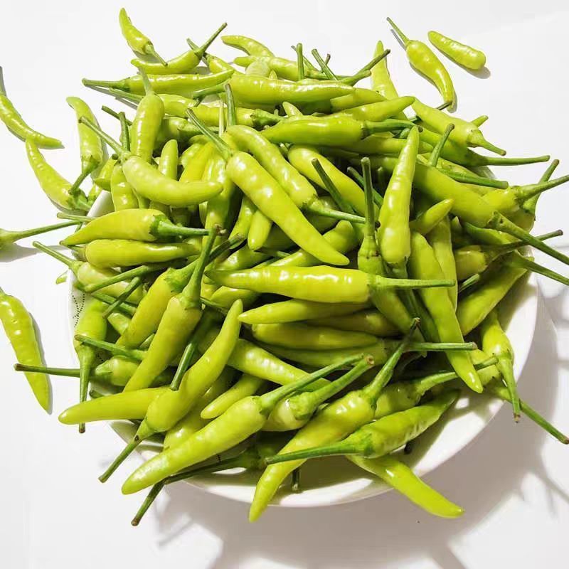 泡椒，野山椒，新鲜泡椒