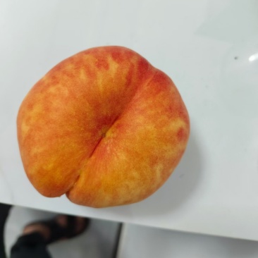 4两起步毛蟠桃，彩虹毛蟠均有，规格不同价格不同