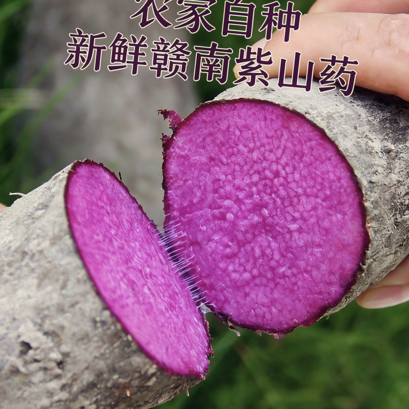 新鲜现挖赣南紫山药