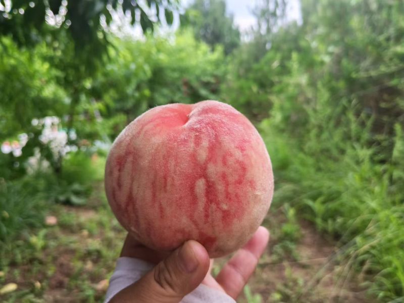 70起步通货