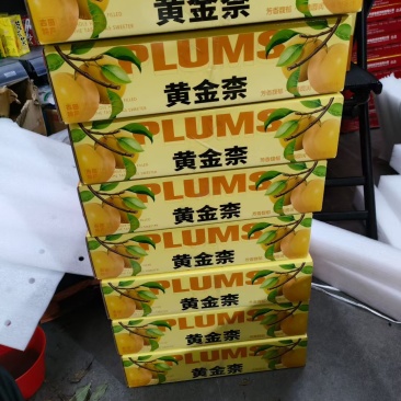 所有规格