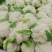 高原夏菜甘肃兰州定西松花菜