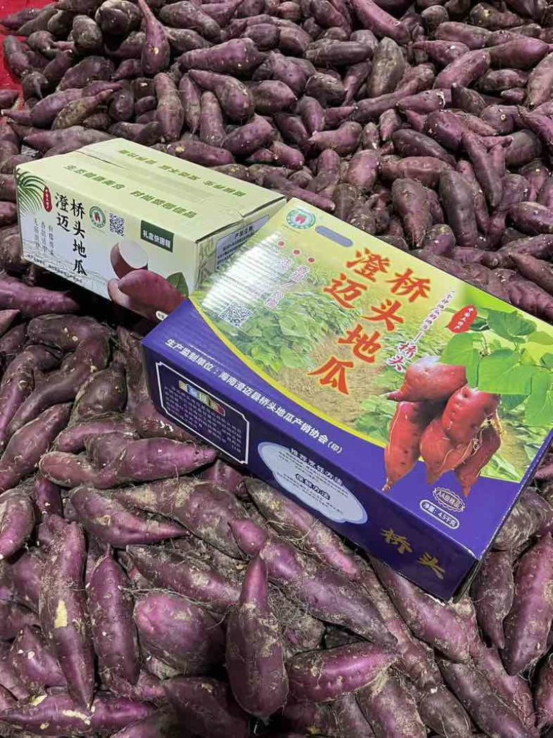 海南澄迈桥头地瓜，8斤装精品礼盒装，全国发货，一件代发