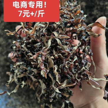 电商木耳丝，电商专用木耳丝，木耳丝，白背毛木耳丝原货