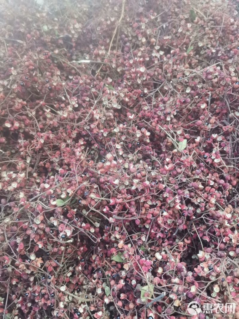 蒙山鲜花椒，干花椒