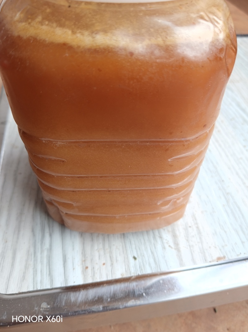 今年新的野生土蜂蜜