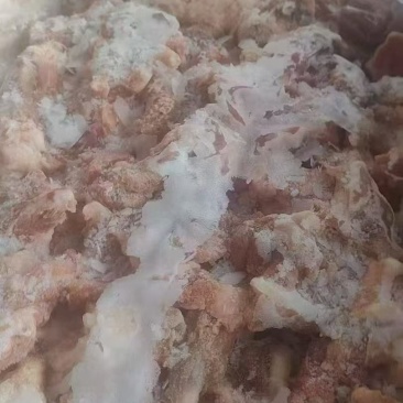 舌根肉20吨