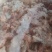 舌根肉20吨