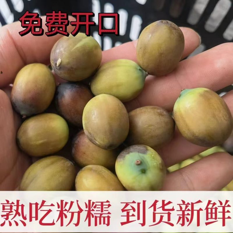 新鲜老莲子米，7到9成熟，粉糯批发零售，长期供货