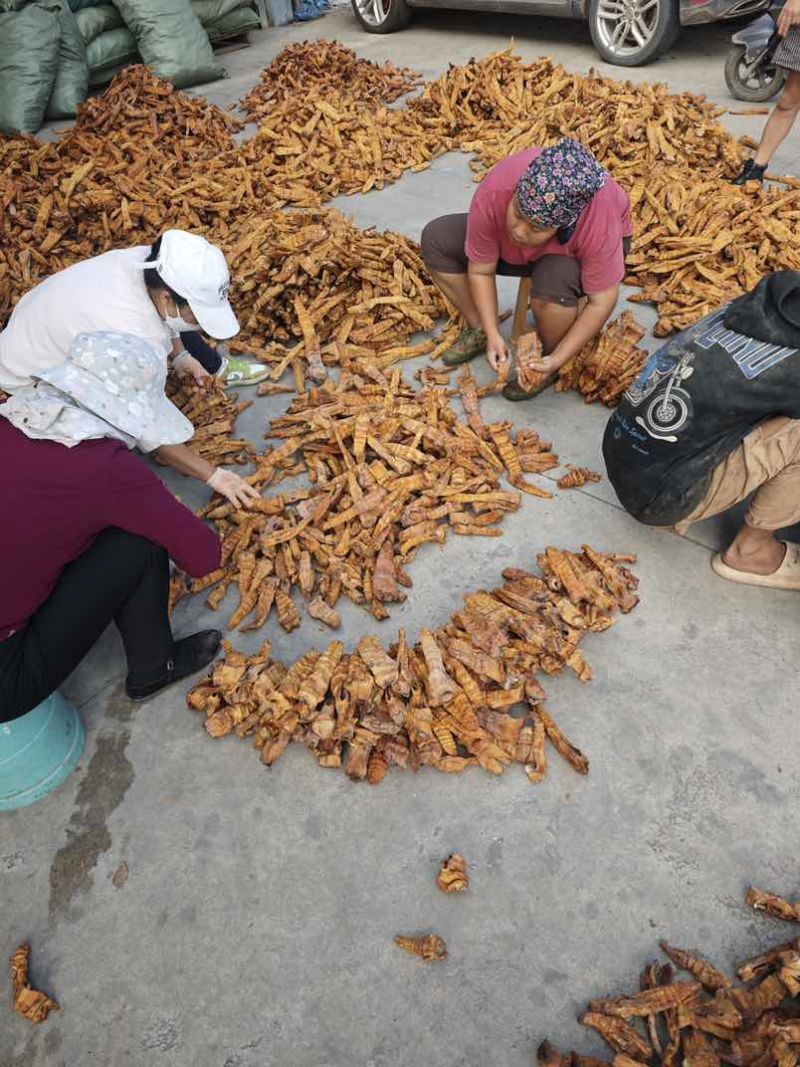 烟熏笋干筒笋量大目前在产地发货欢迎各位采购定货