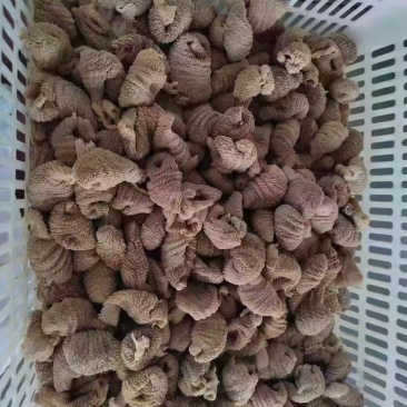 熟蛋包头2吨