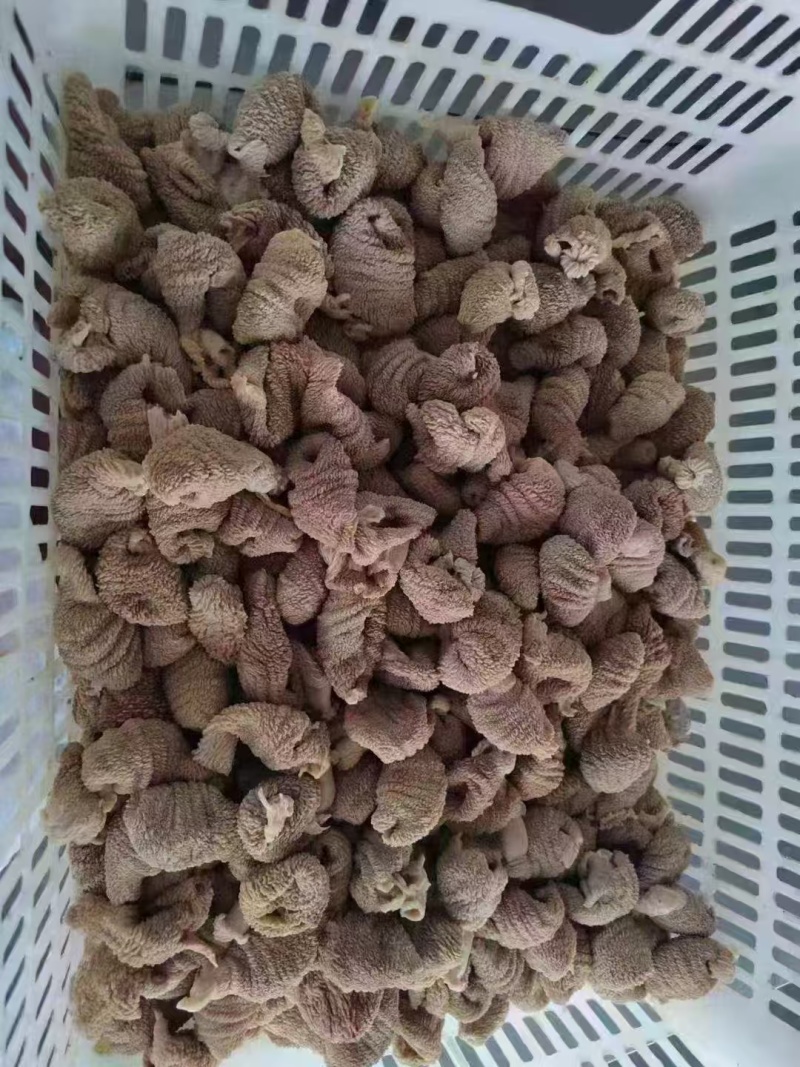 熟蛋包头2吨