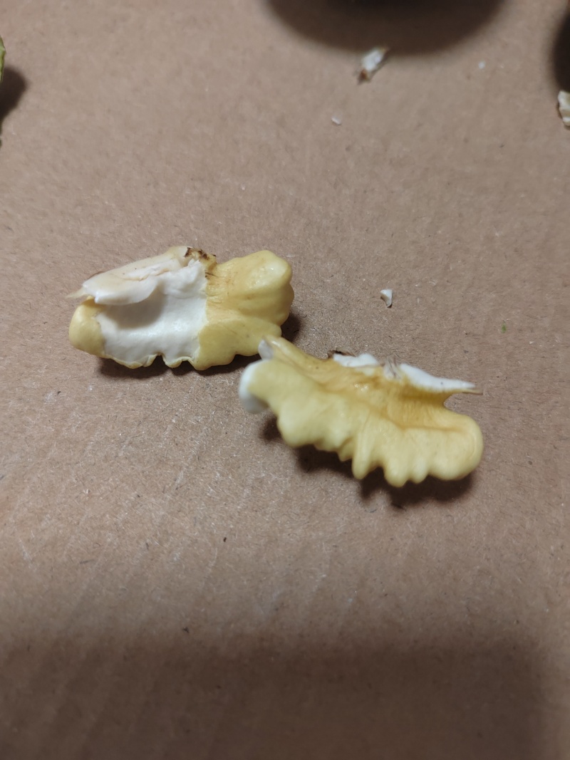 太行山脉******薄皮核桃