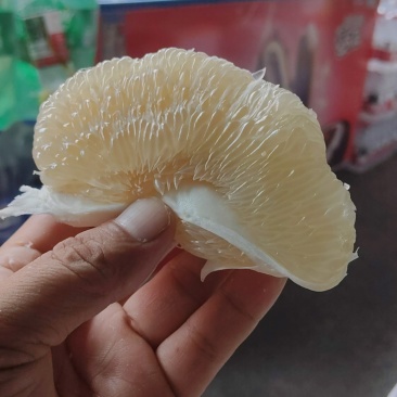 柚甜柚水柚想你