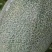 帅果88哈密瓜