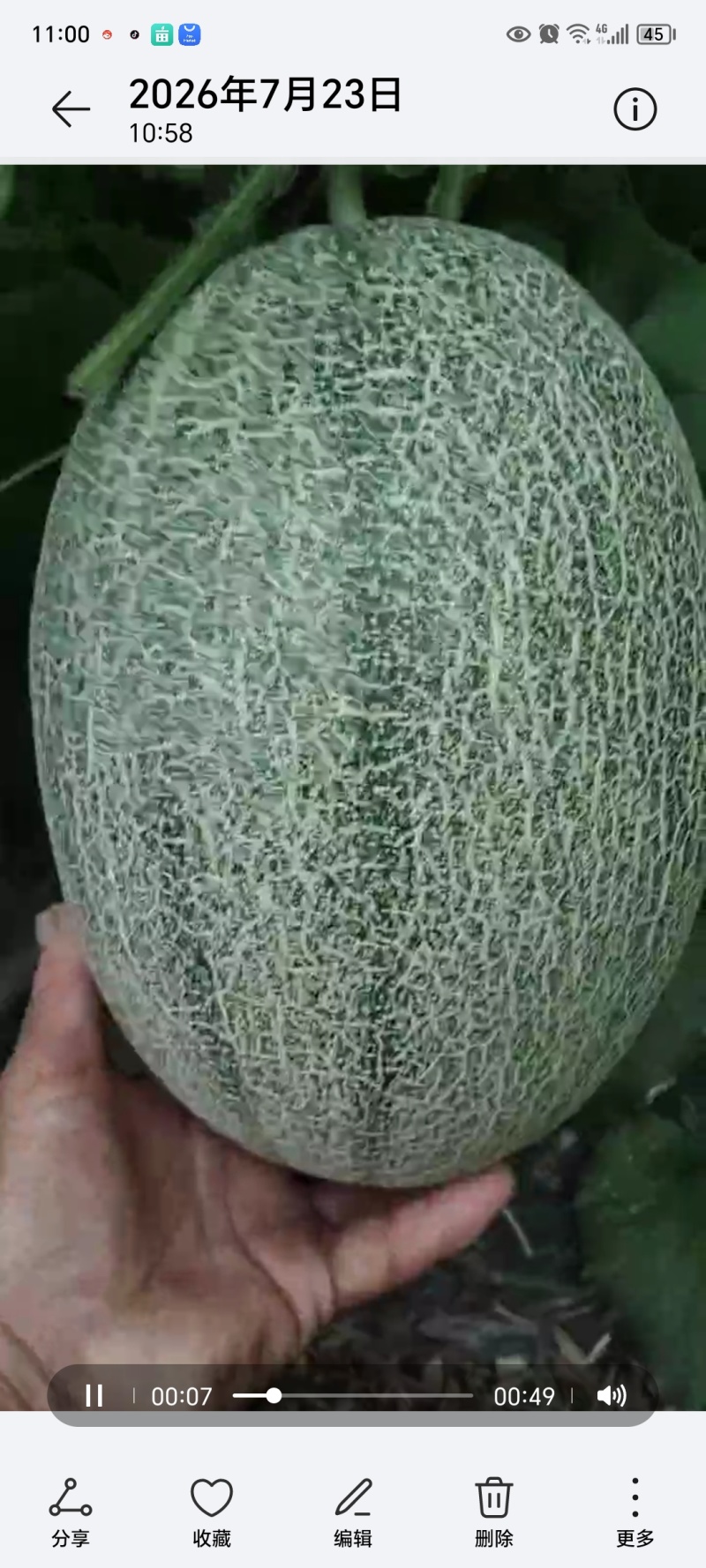 帅果88哈密瓜