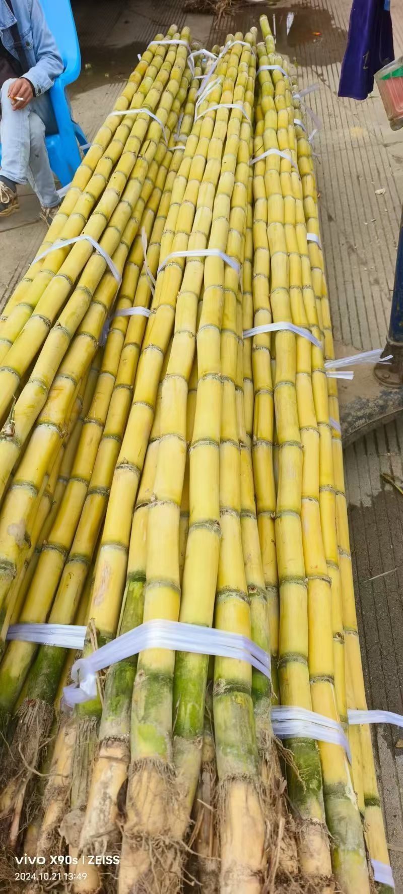 云南玉溪黄皮甘蔗，皮薄、水多、渣少。