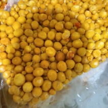 厂家直销，鸡蛋黄4.5吨