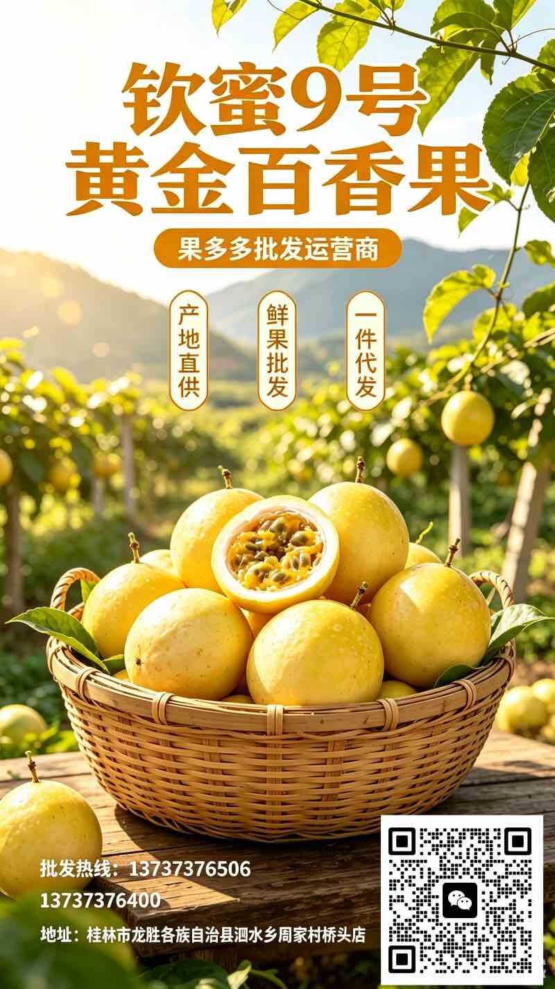 广西桂林本地高山百香果上市啦！