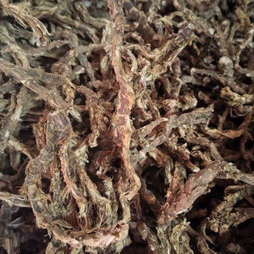 新鲜石菖蒲价格美丽正品保障长期供应