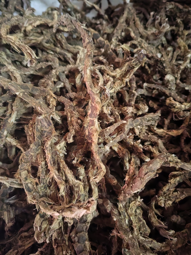 新鲜石菖蒲价格美丽正品保障长期供应