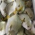今年新货金鲳鱼（全规格）