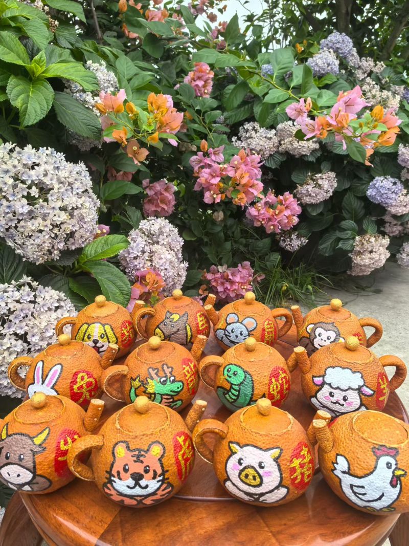 陈皮正规货源货源充足全网低价疯狂促销中
