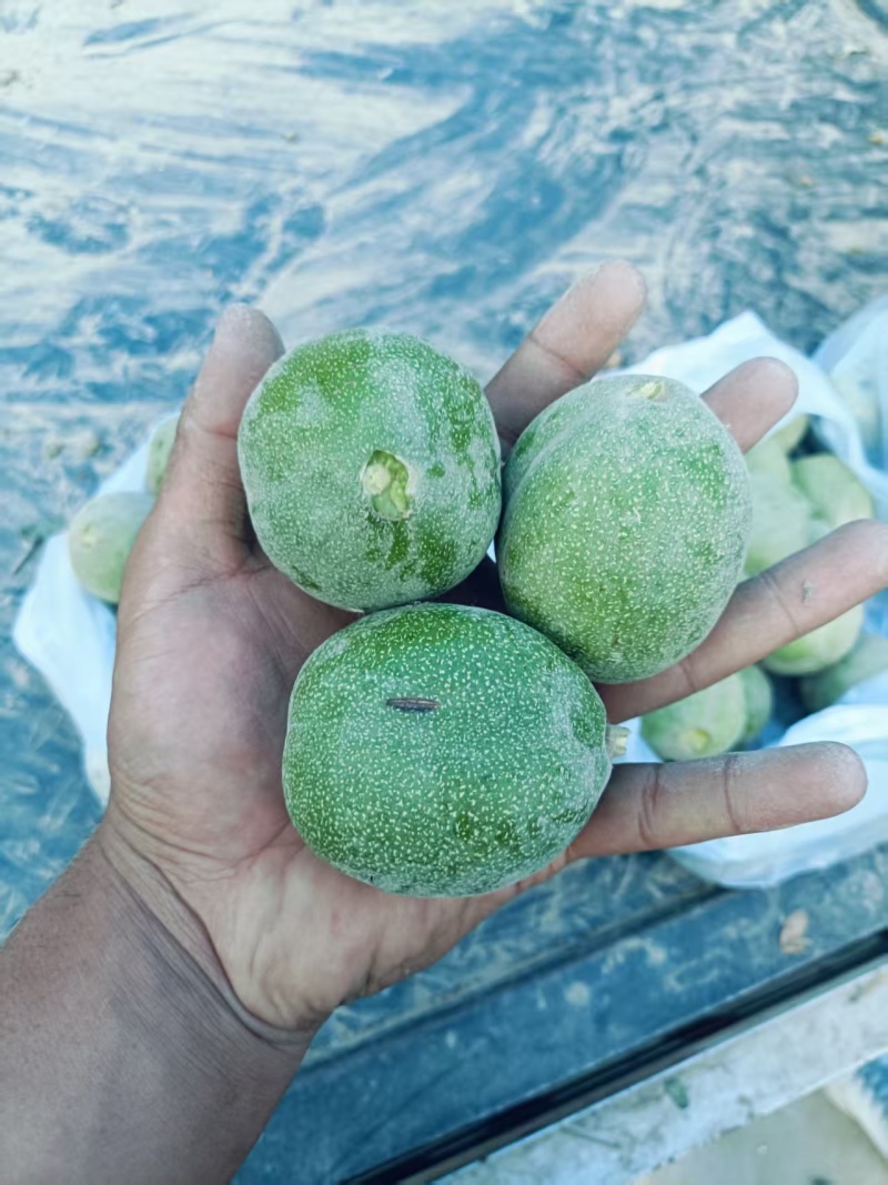 新疆185纸皮核桃
