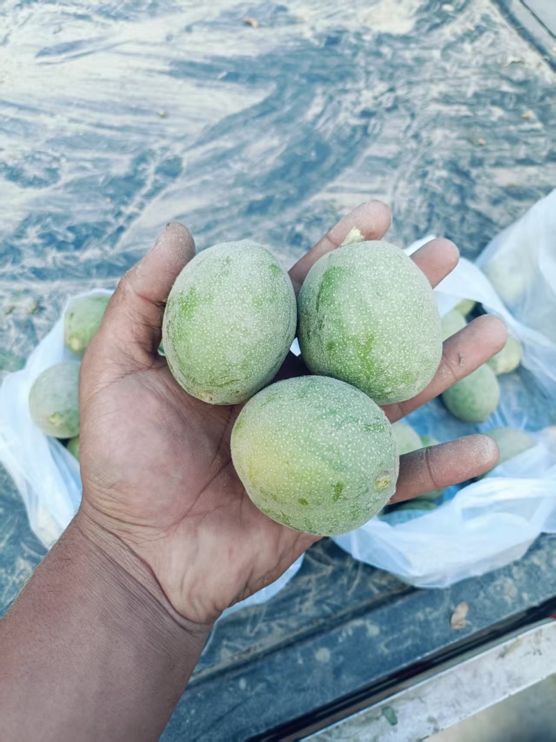 新疆185纸皮核桃