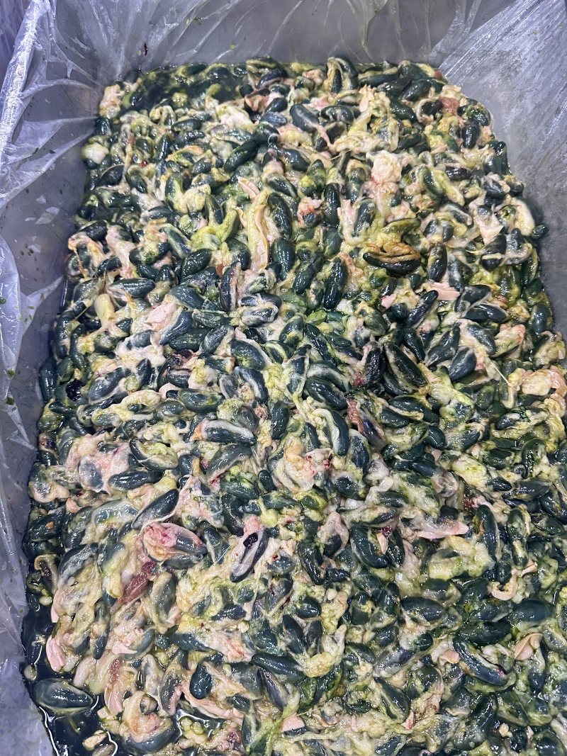 鸭苦胆4吨