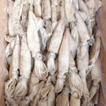 笔管