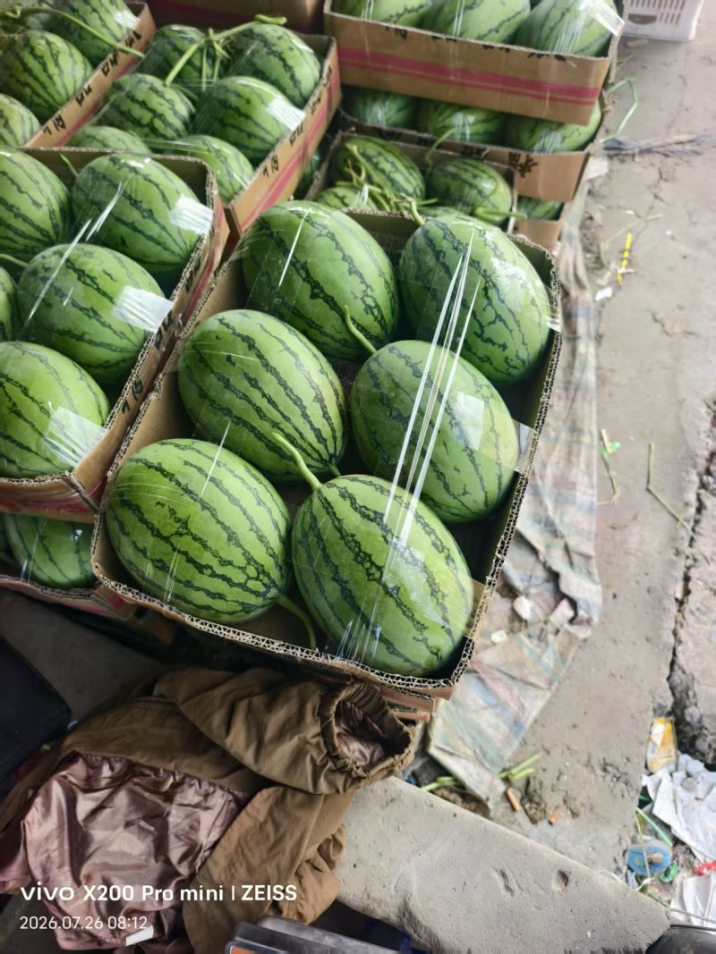 小吊瓜西瓜🍉
