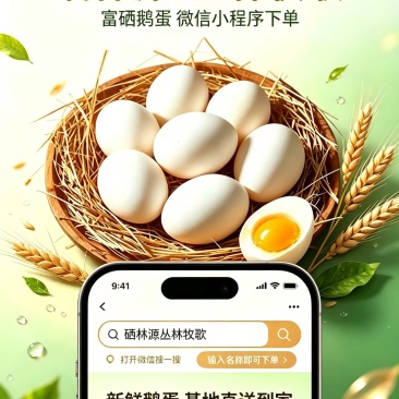 富硒鹅蛋