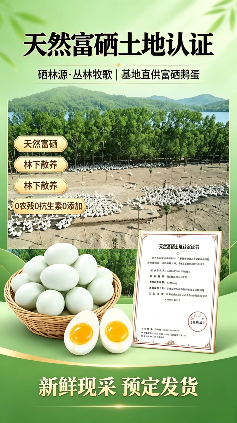 富硒鹅蛋