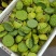 新鲜莲蓬、水果莲、花莲、草莲，自己种植量大新鲜