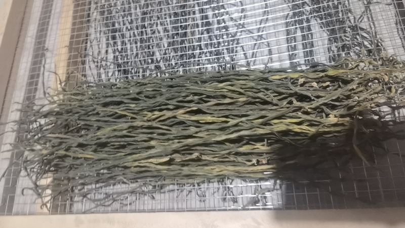 精品脱水长豆角