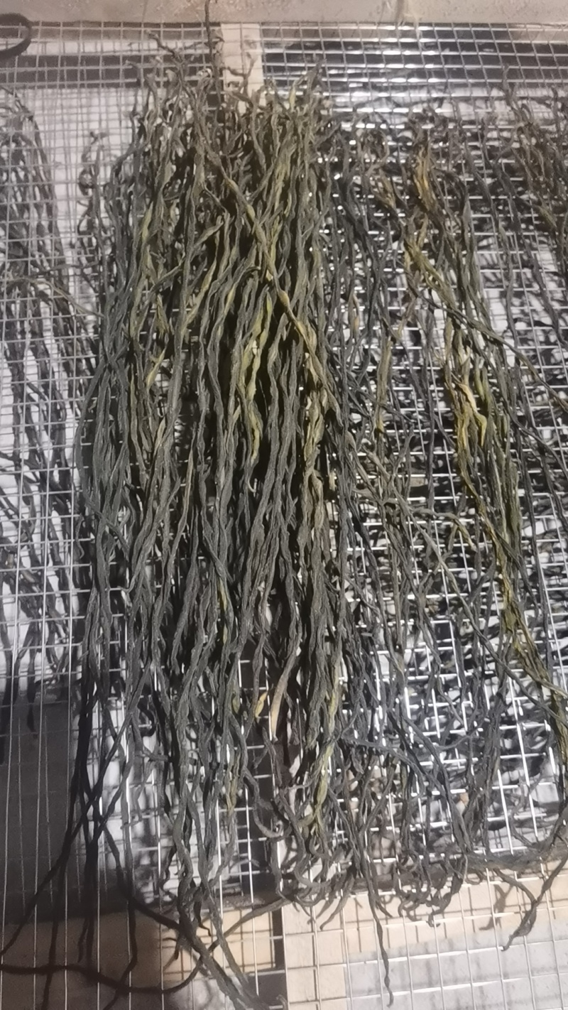精品脱水长豆角