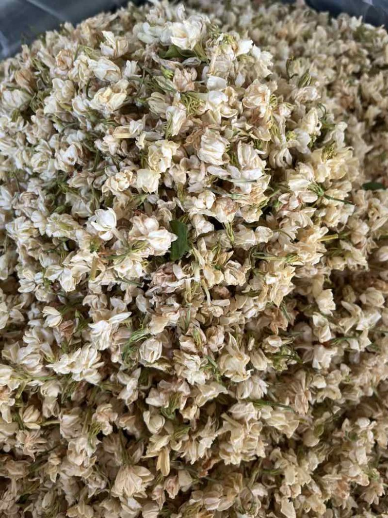 【茉莉花干】横县茉莉花源头产地，工厂直发