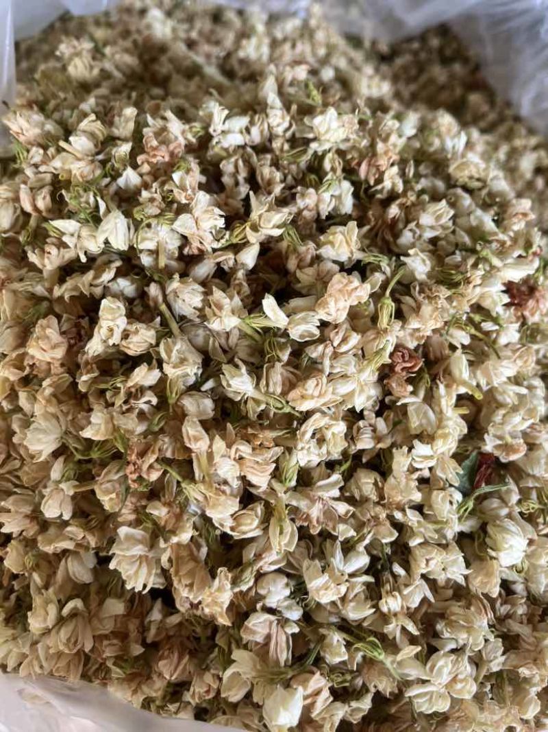 【茉莉花干】横县茉莉花源头产地，工厂直发