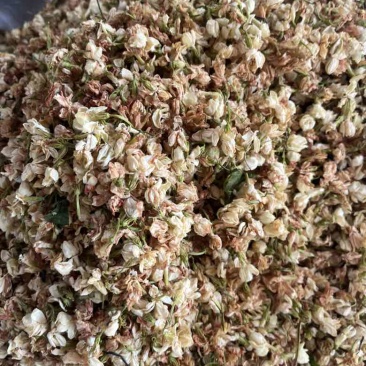 【茉莉花干】横县茉莉花源头产地，工厂直发