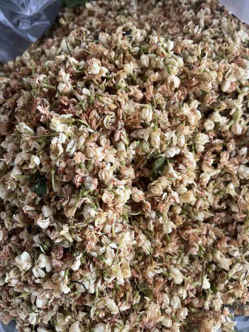 【茉莉花干】横县茉莉花源头产地，工厂直发