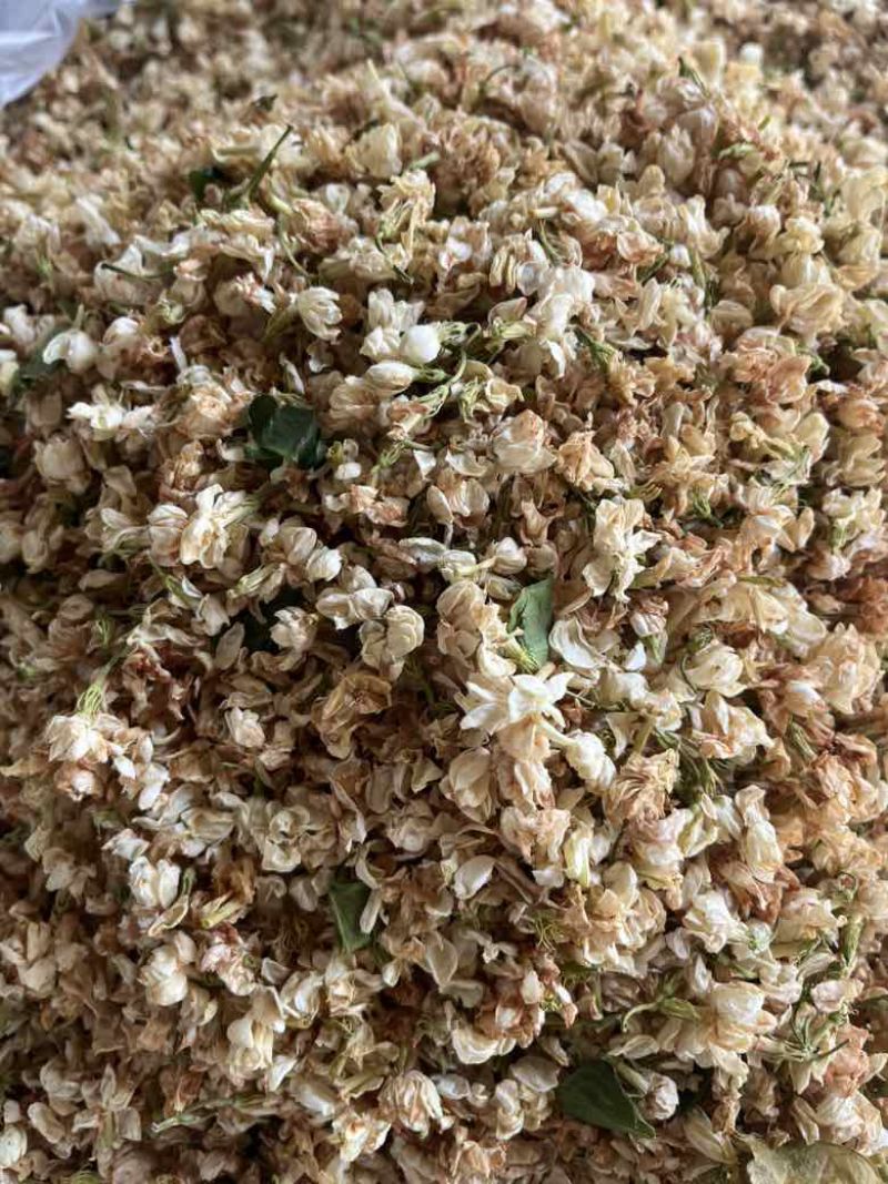 【茉莉花干】横县茉莉花源头产地，工厂直发