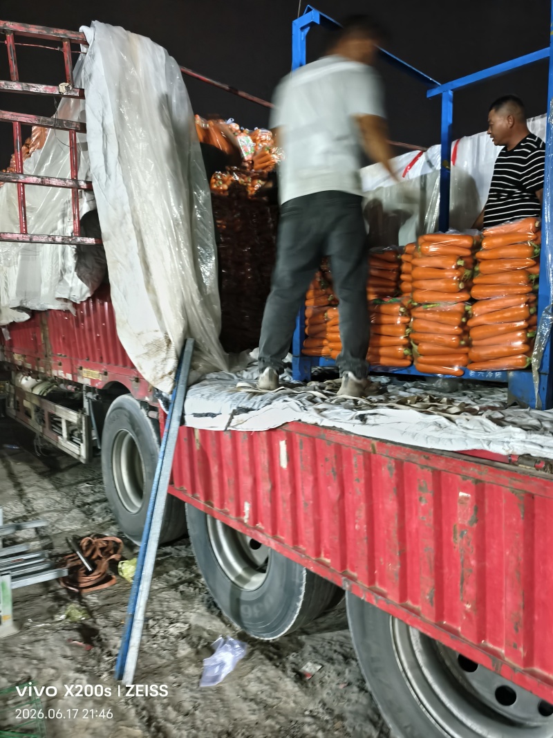 正宗沙地三红胡萝卜，支持代收代发，品质好价格实惠量大从