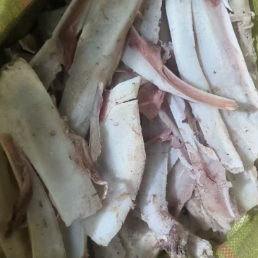 牛鼻骨