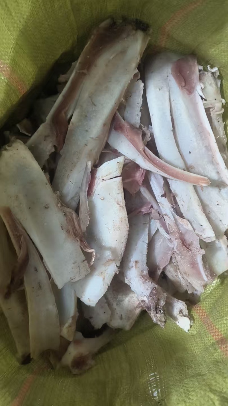 牛鼻骨