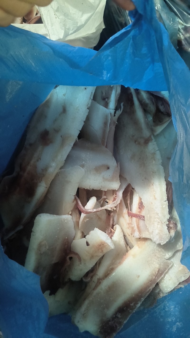 牛鼻骨