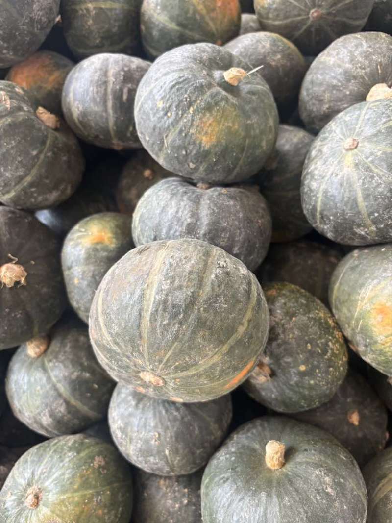 精选贝贝南瓜通货